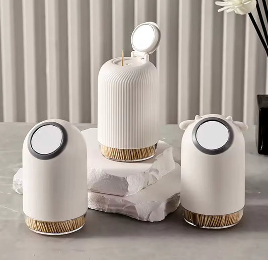 Toothpicks Holder With Mirror