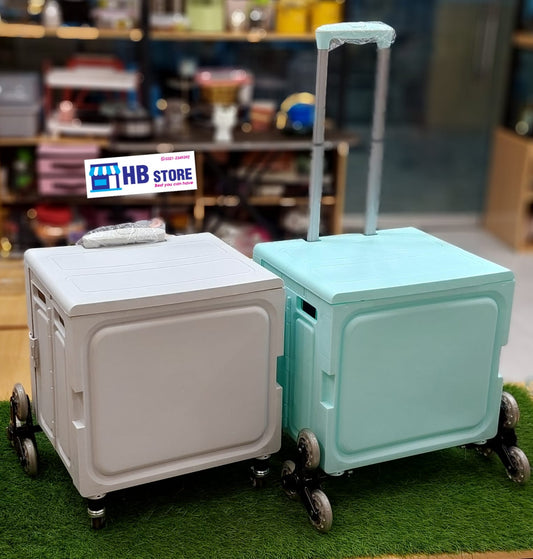 Portable Supermarket Luggage Carrier