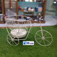 Tricycle Design Fruit Basket