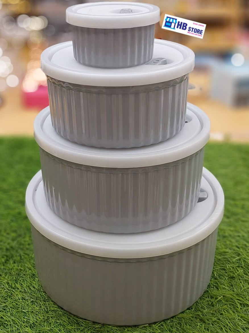 4 Pcs Nesting Plastic Storage Containers Set