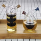 2 in 1 Glass Oil & Vinegar Bottle