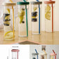 Fruit Infuser Acrylic Water Bottle