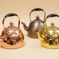 Luxury Metallic Kettle