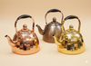Luxury Metallic Kettle