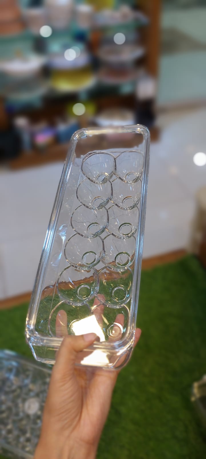 Unbreakable Acrylic Egg Box