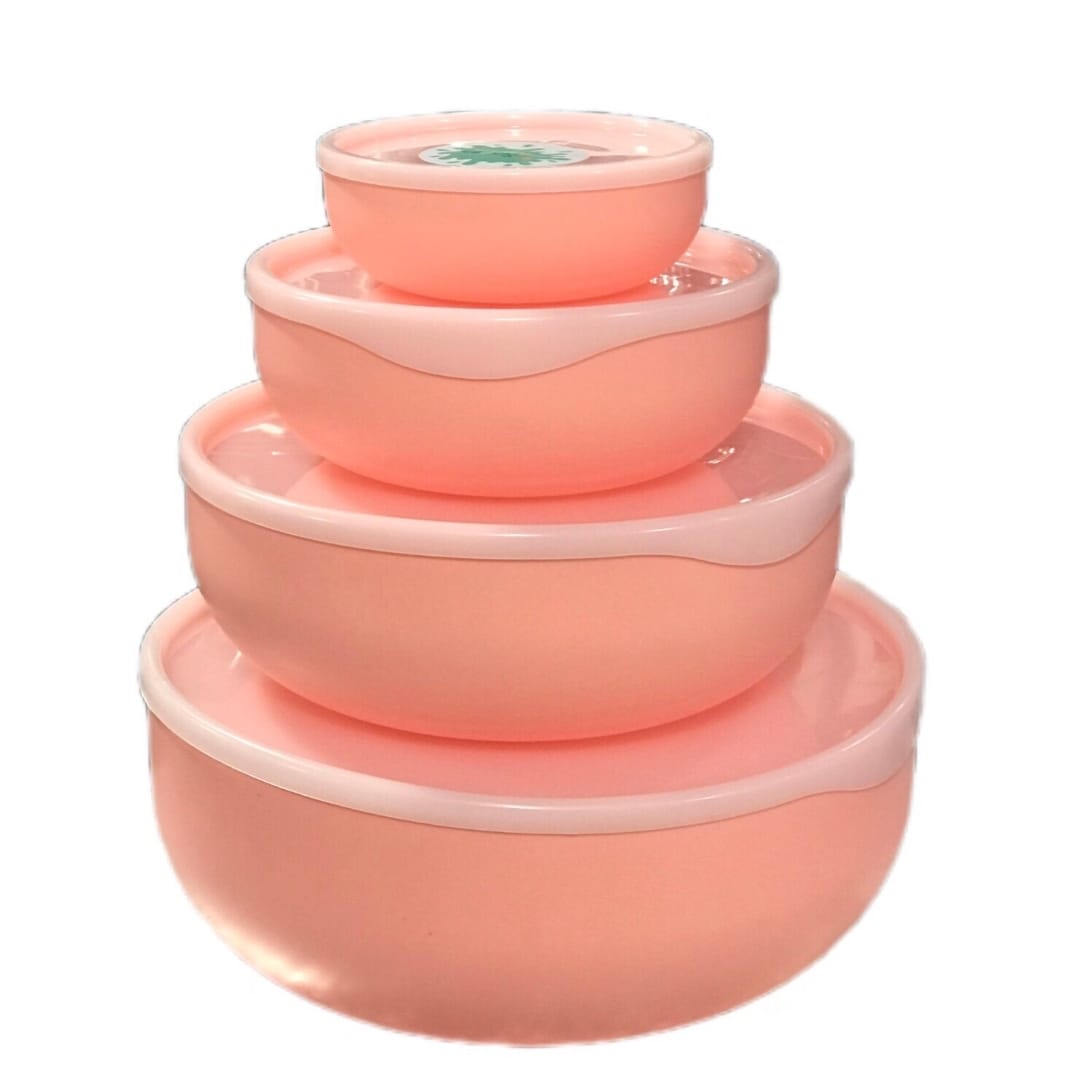 4Pcs Bowl Set With Lid