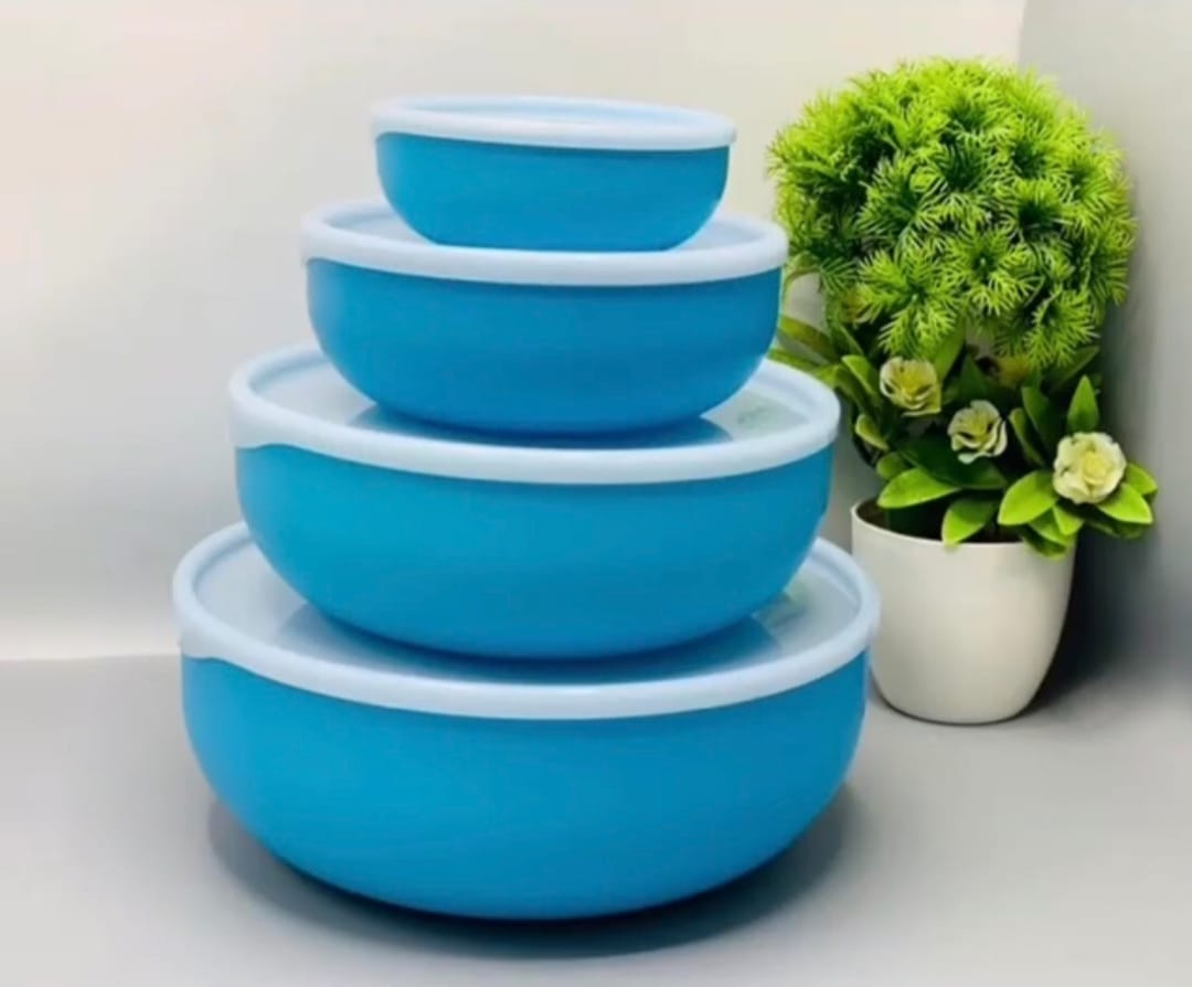 4Pcs Bowl Set With Lid