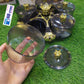 Acrylic 5 Portion Rotatable Set