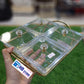 4Pcs Snack Serving Tray