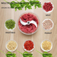 Ecoco Manual Multi-Function Vegetable Chopper & Meat Grinder