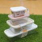 Nesting Freezer Storage Box Set (4 Pcs)