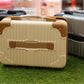 Luggage Style Portable Cosmetic Bag