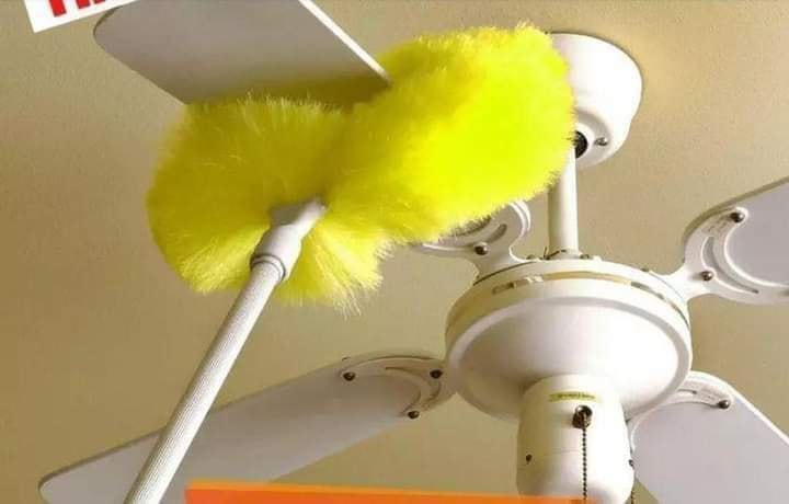 Fan duster