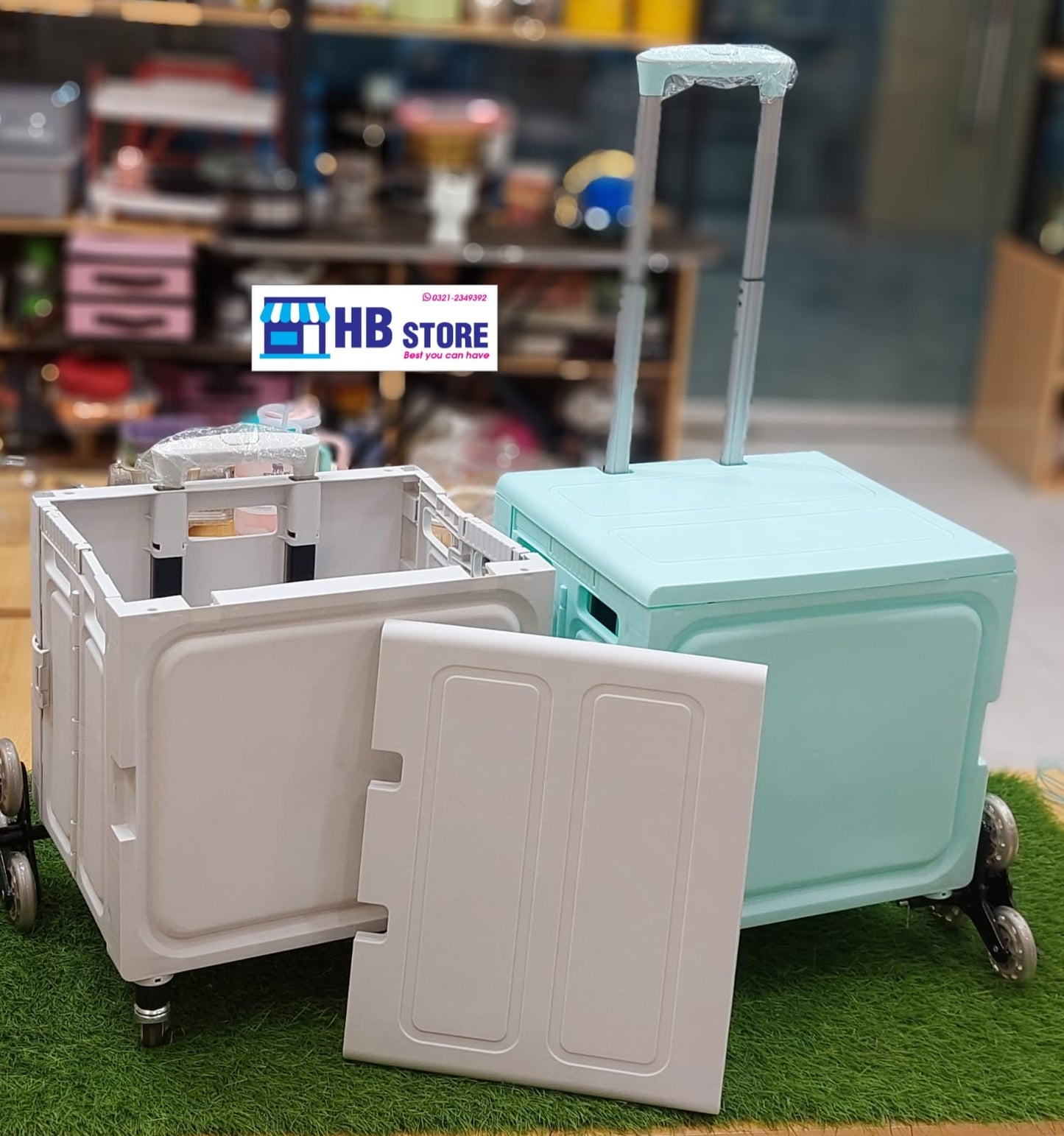 Portable Supermarket Luggage Carrier