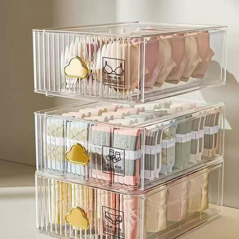 Closet Underwear Organizers Tray