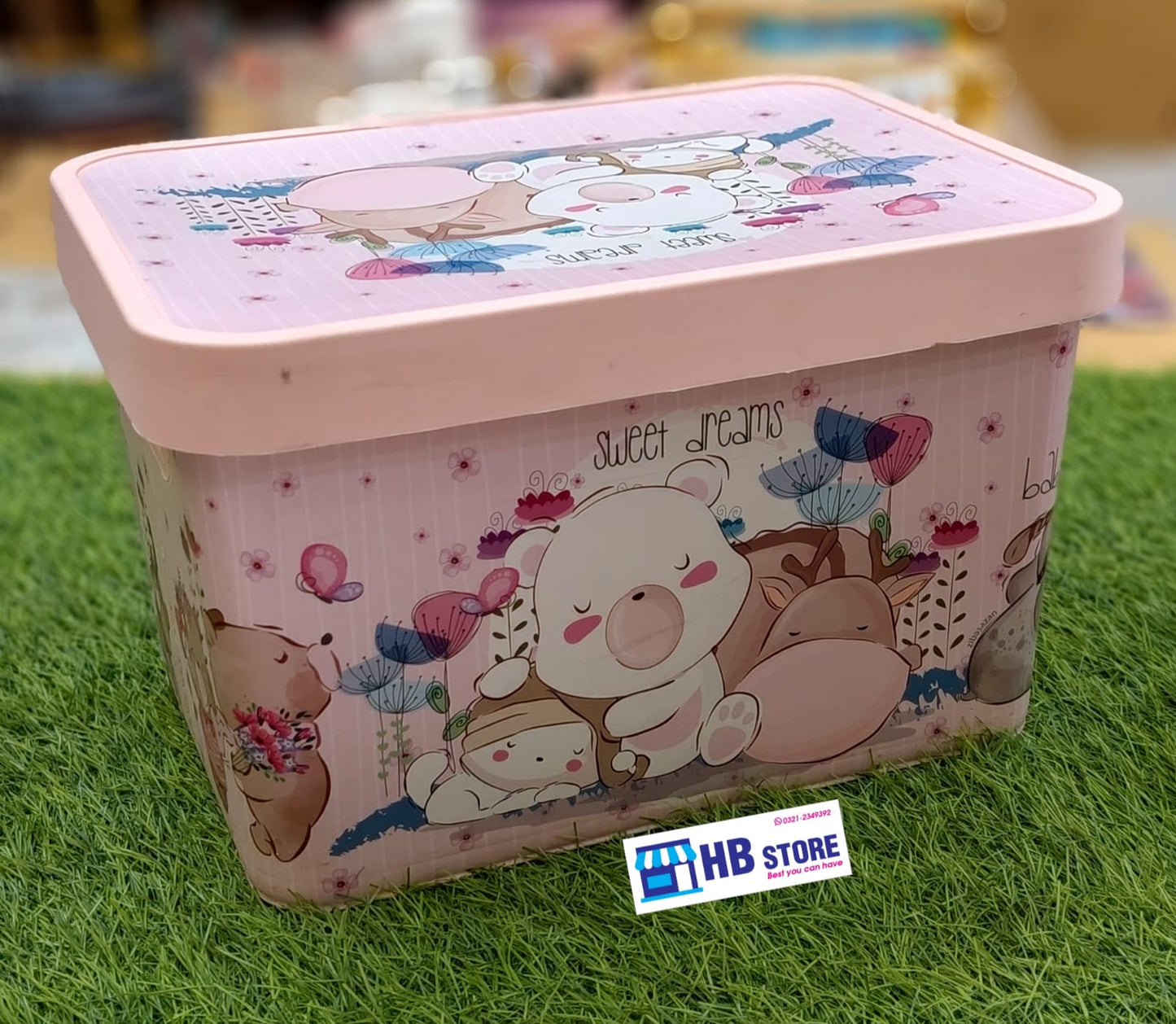 Kids' Decorative Toy Organizer Boxes