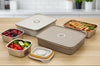 Chronos Fresh-Lock Stainless Steel Containers