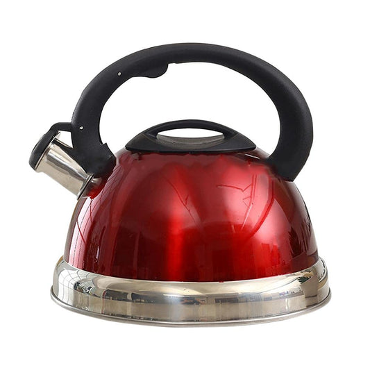 Stainless Steel Kettle Metallic